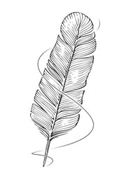 feather quill pen and ink line clipart sketch vector image