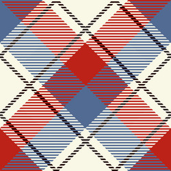 seamless tartan pattern vector image