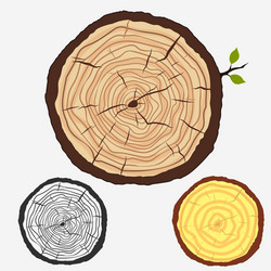 tree rings cut stump with forest trees vector image