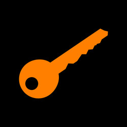 key sign orange icon on black vector image