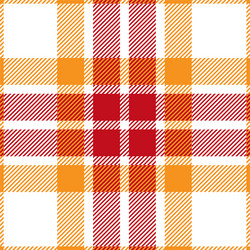 orange and red tartan plaid seamless pattern vector image