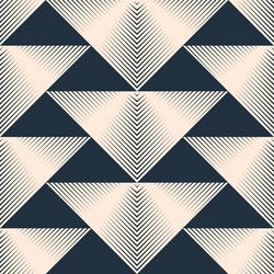 geometrical ornament vector image