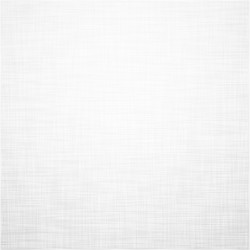 white linen texture vector image