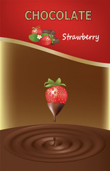 strawberry chocolate design vector image