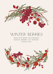 card with a wreath winter berries vector image