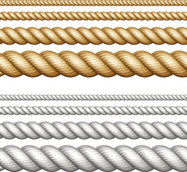 set of ropes on white vector