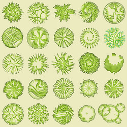 different plants and trees set for architectural vector image