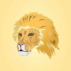 lion head vector image