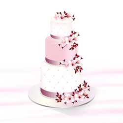 wedding cake decorated with cherry blossoms vector image