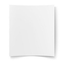 blank white paper empty poster placard vector image