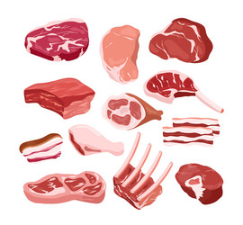 set of fresh tasty meat icons vector image