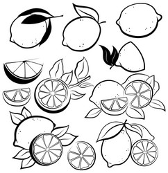 set stylized lemons collection black vector image