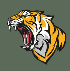 tiger head vector image