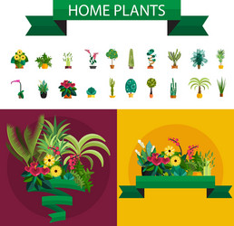 houseplants indoor and office vector image