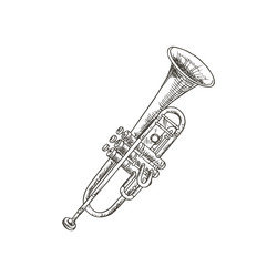 cornet or horn musical instrument trumpet isolated vector image