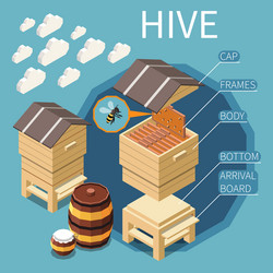 hive isometric background vector image