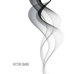 smoke background vector image