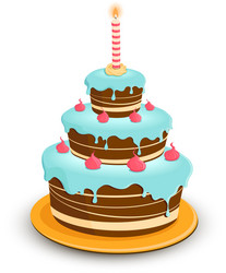 birthday cake vector image