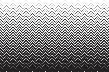 horizontal parallel zigzag lines of different vector image