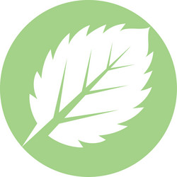 mint leaves flat icon vector image