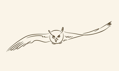 Flying owl with outstretched wings vector