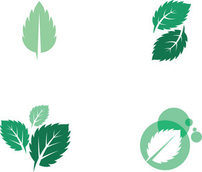 mint leaves flat icon vector image