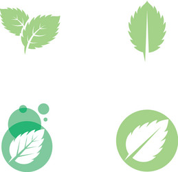 mint leaves flat icon vector image