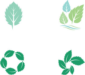 mint leaves flat icon vector image