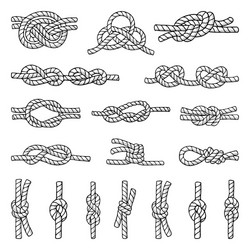 different nautical knots vector image