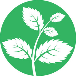 mint leaves flat icon vector image