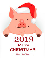 christmas greeting card cute pig vector image