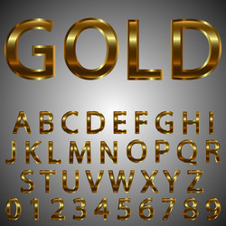 metal gold effect letters and numbers vector image