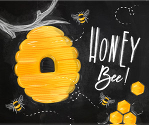 poster honey bee chalk vector image