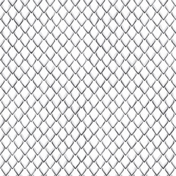 snake skin black and white seamless pattern vector image