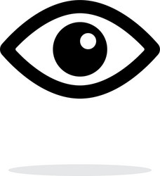 eye icon on white background vector image