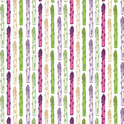 organic asparagus market hand drawn vector image