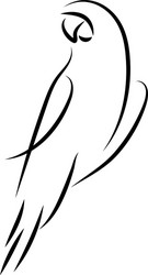 Parrot bird mono line art template vector