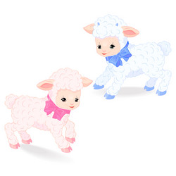 little lambs vector image