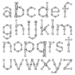 bone font alphabet letters vector image