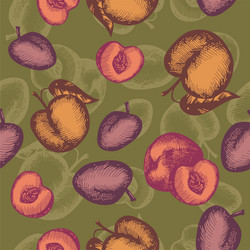 retro fruits vector image