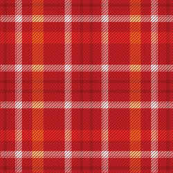 fabric texture in red tones vector image