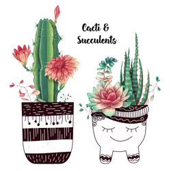 card with cactuses and succulents set plants vector image