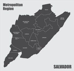 salvador metropolitan region map vector image