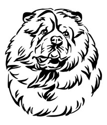 decorative portrait of chow dog vector image