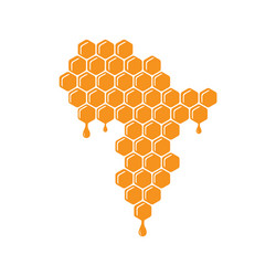 african honey design vector image