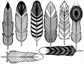 hand drawn bohemian tribal ethnic set of feathers vector image