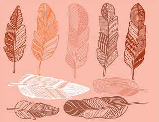 hand drawn bohemian tribal ethnic set of feathers vector image