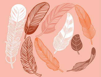 hand drawn bohemian tribal ethnic set of feathers vector image