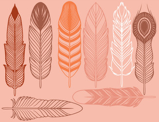 hand drawn bohemian tribal ethnic set of feathers vector image