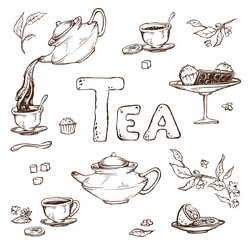 sketch of items for the tea ceremony vector image